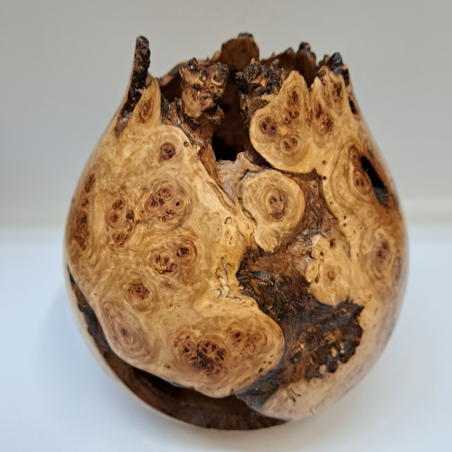 Click to view detail for JW-258 Colorado Aspen Burl Hollow Woodturning $425